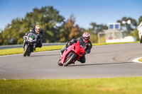Middle Group Red Bikes